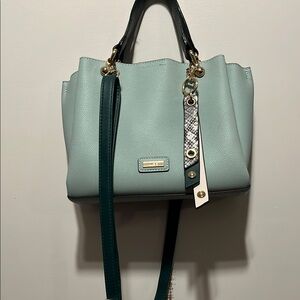 Mint Green Aldo Handbag